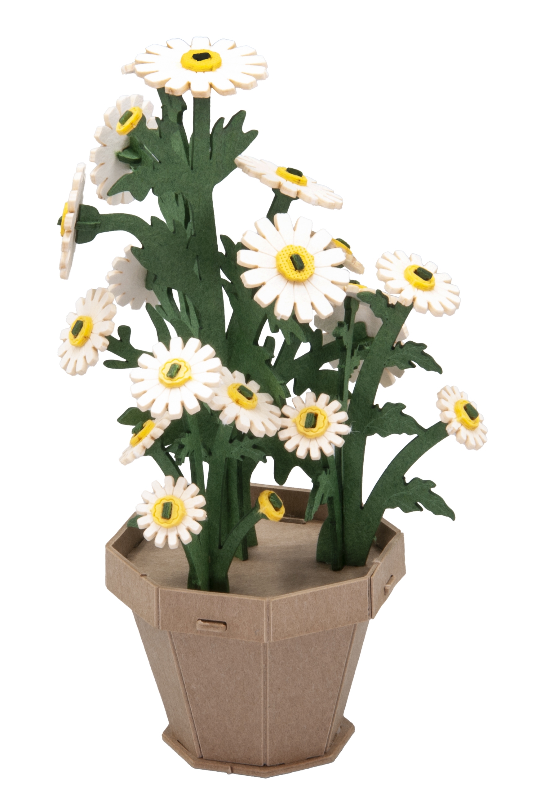 3D model, daisy