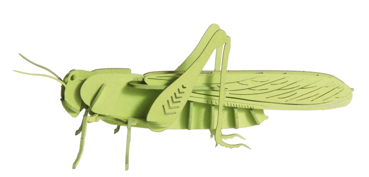 3D model, grasshopper