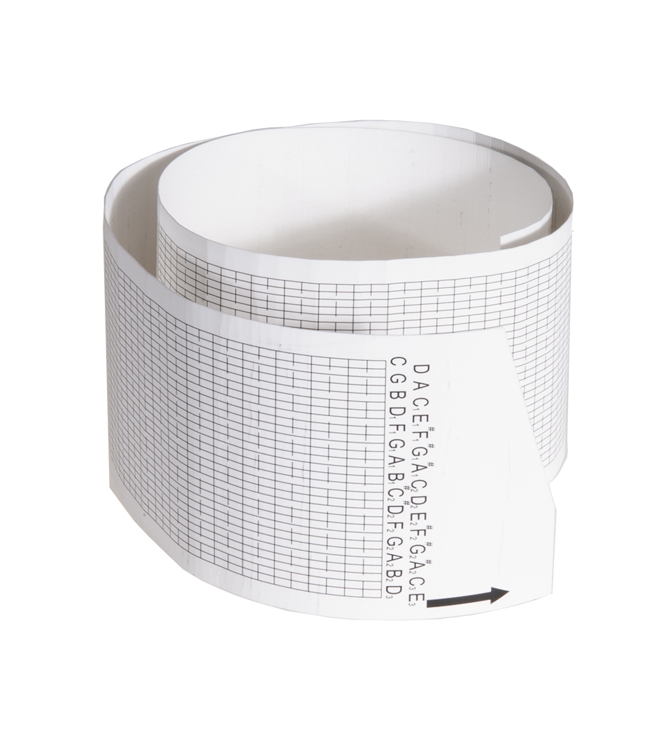 30-note replacement stripes without holes, 5 pcs