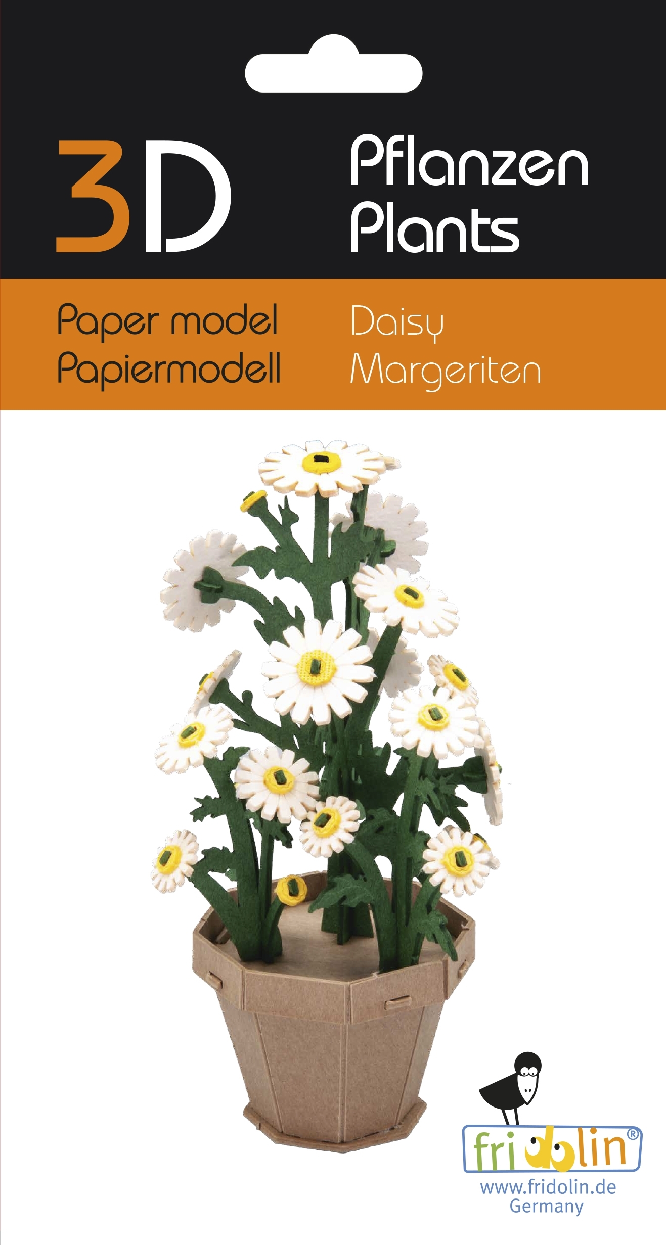 3D model, daisy