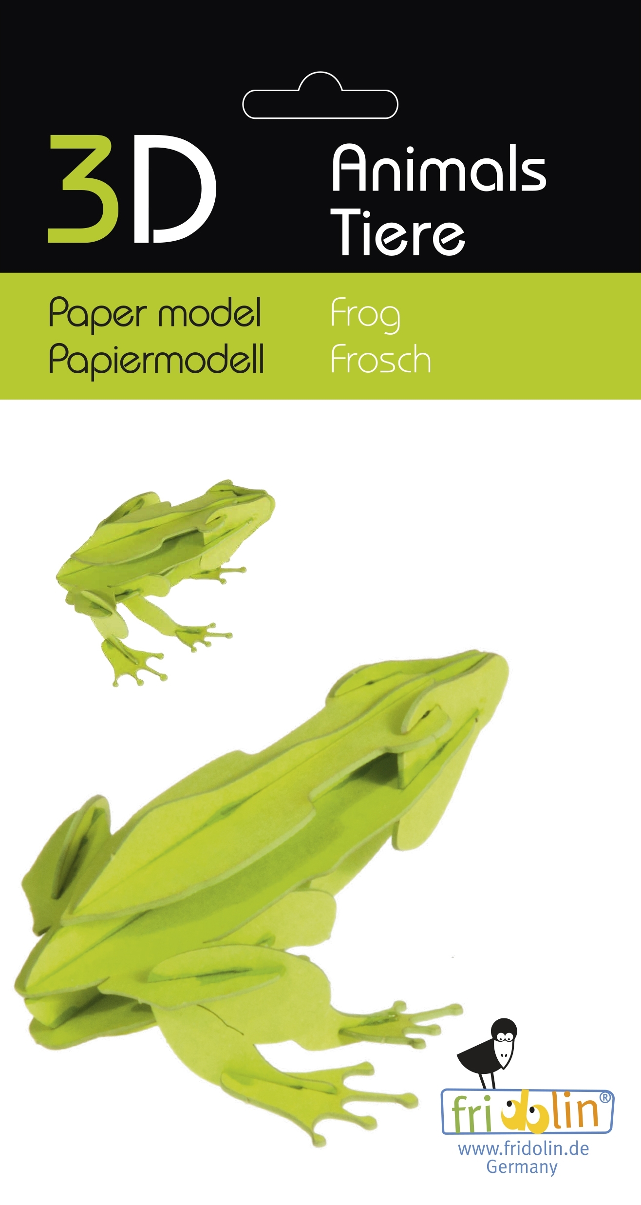 3D model, frog