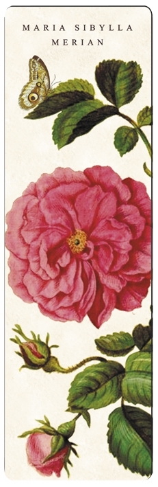 bookmark, Maria Sibylla Merian, Rose large