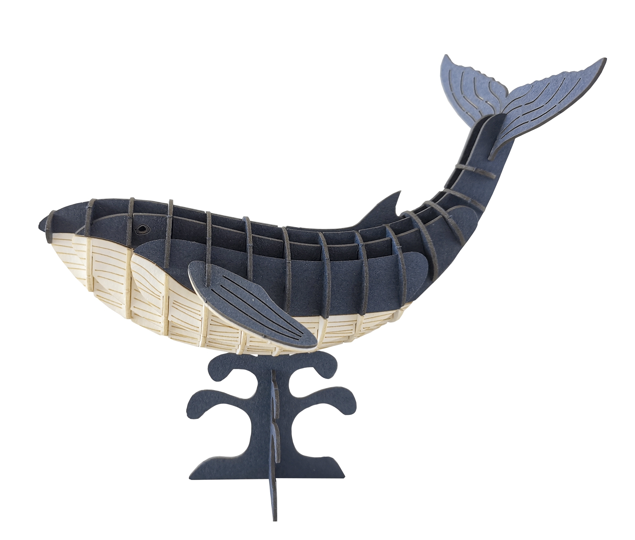 3D model, blue whale