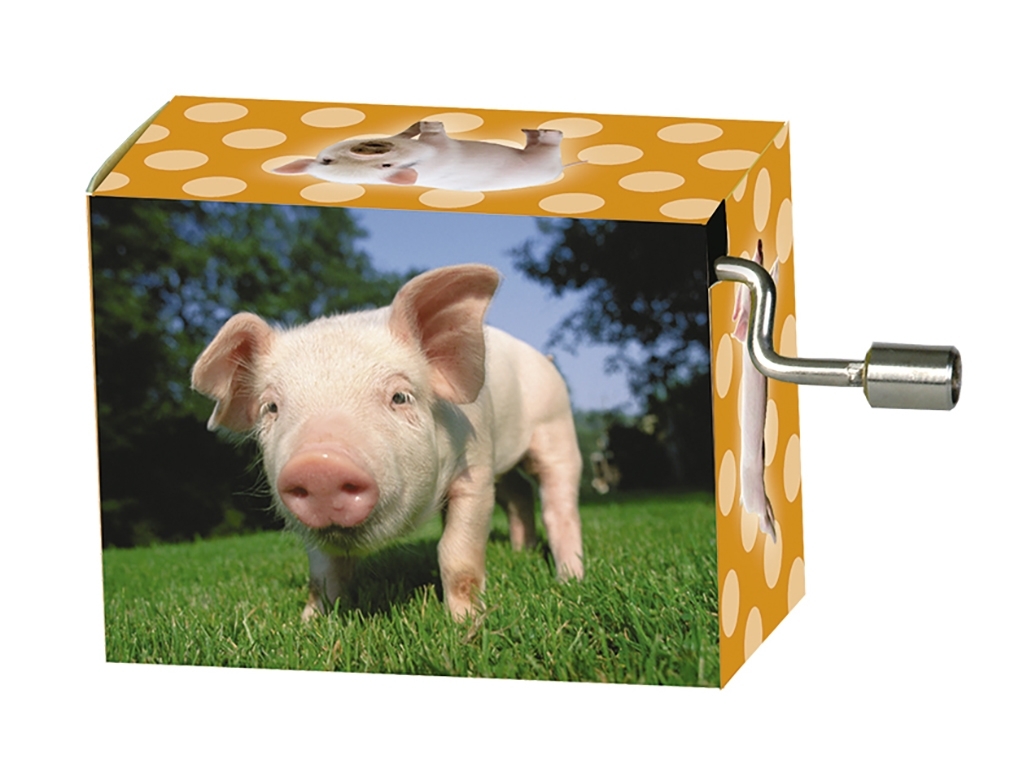 Music box, Happy Birthday, Piglet in the meadow