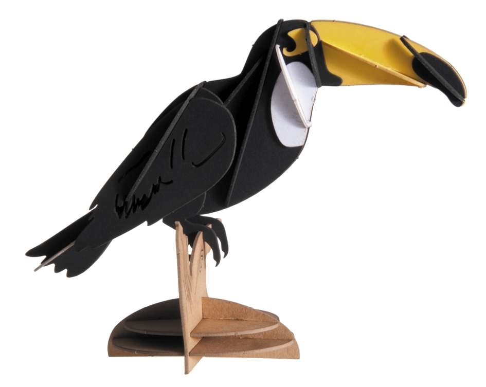 3D model, toucan