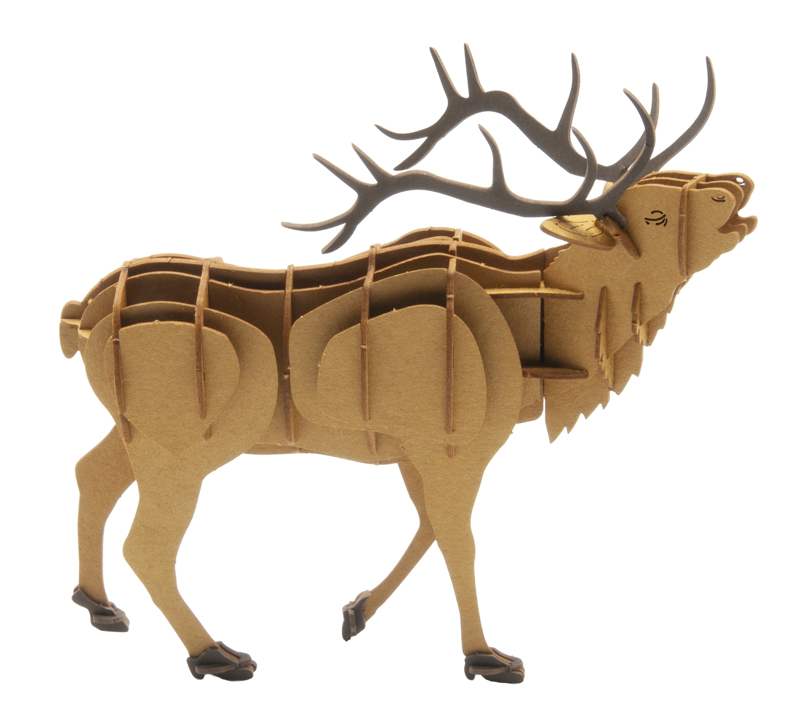 3D model, deer