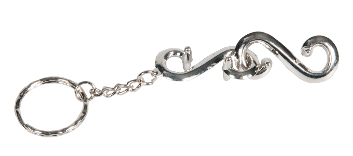 IQ-Test, key ring, Two question marks, metal