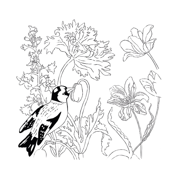 Coloring Art, Merian, 4 Motive + Faltrahmen