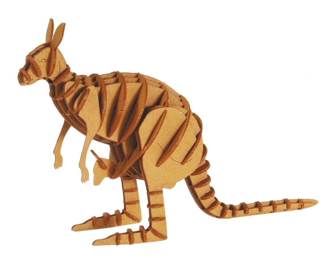 3D model, kangaroo