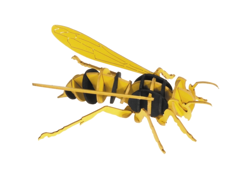 3D model, hornet
