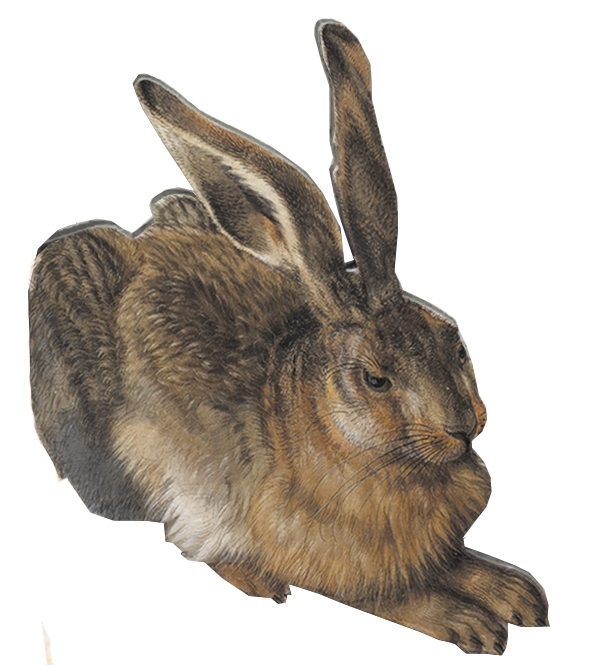 magnet, MDF, Dürer, Hare
