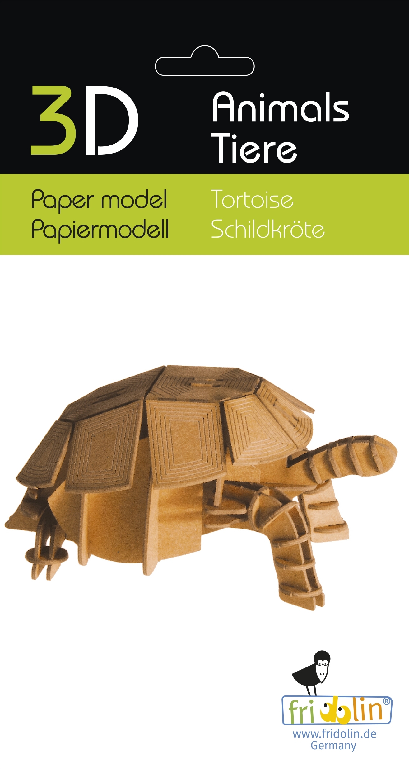 3D model, tortoise