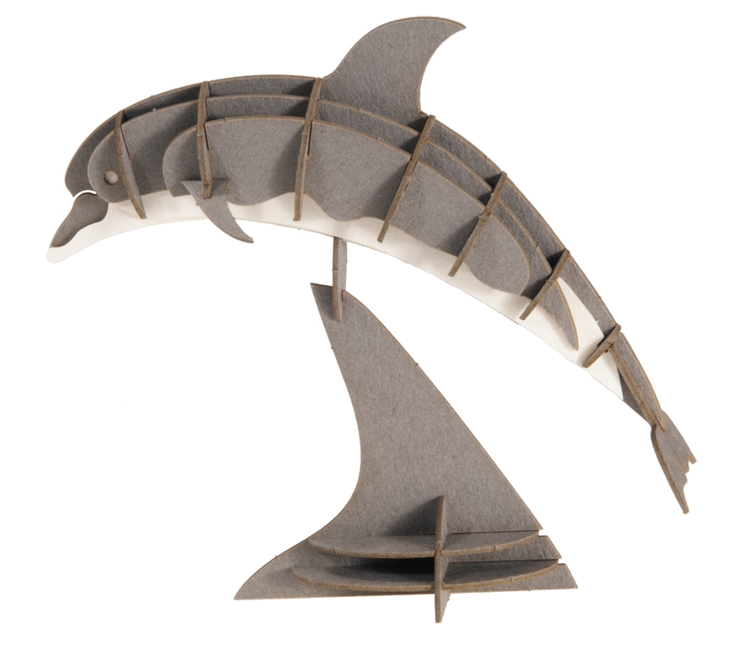 3D model, dolphin