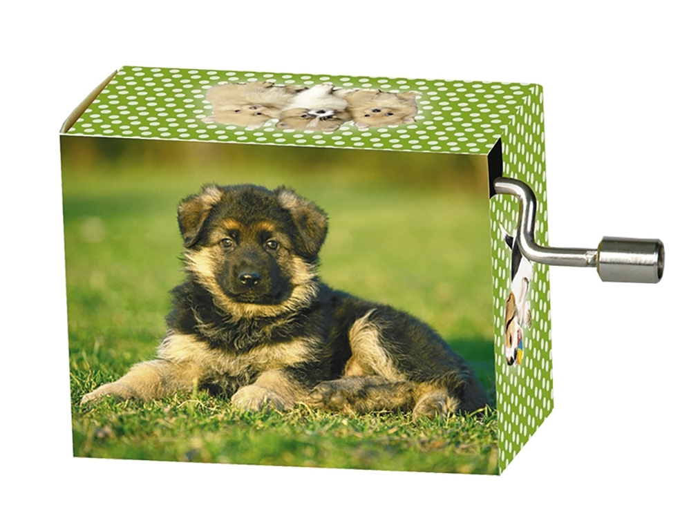 Music box, Old McDonald, Doggie in the meadow