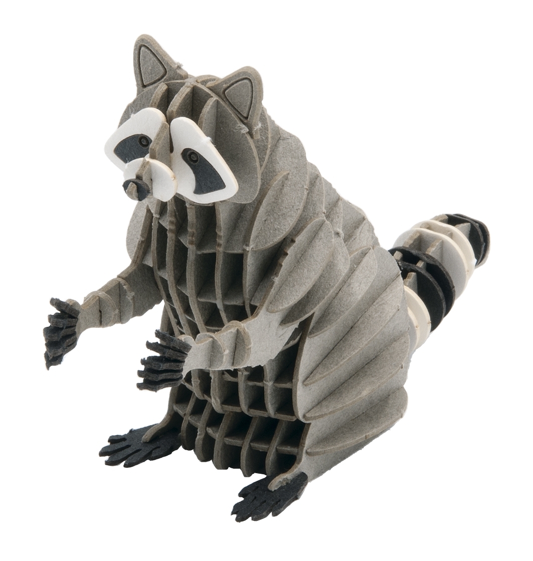 3D model, raccoon