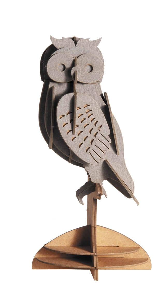 3D model, owl