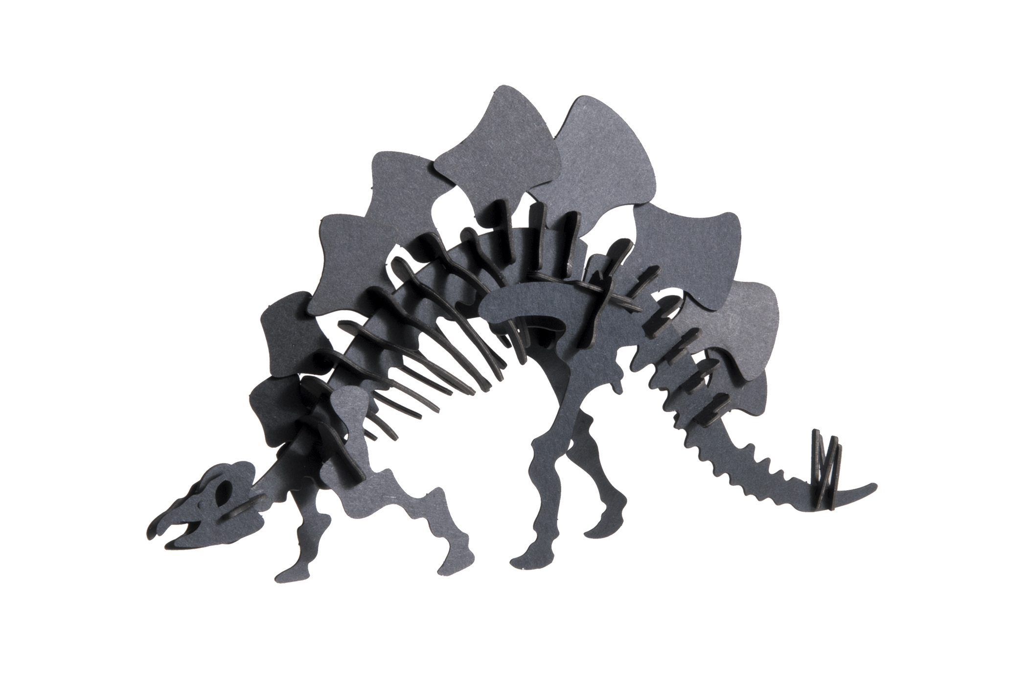 3D model, stegosaurus