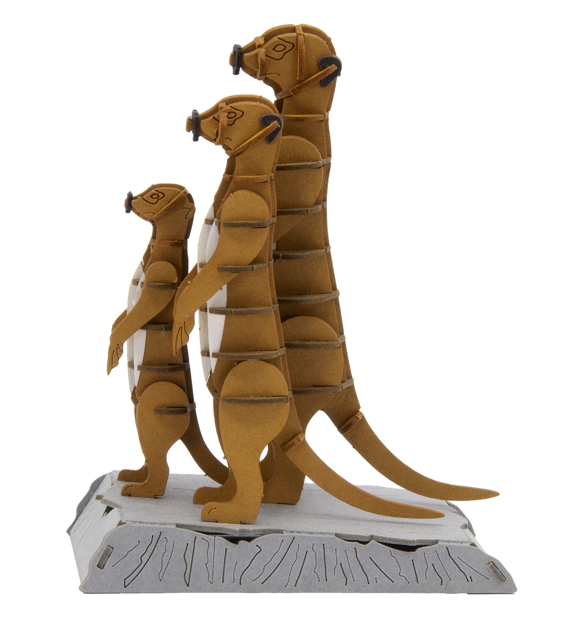 3D model, meerkats