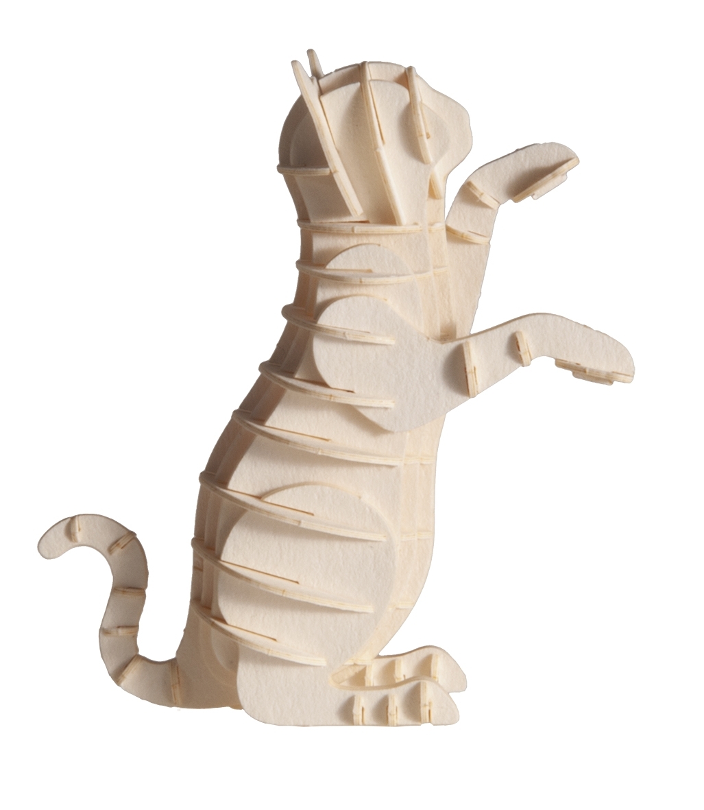 3D model, cat, white