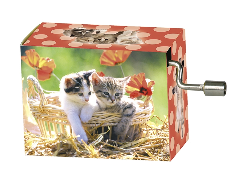 Music box, La Le Lu, Kittens in basket