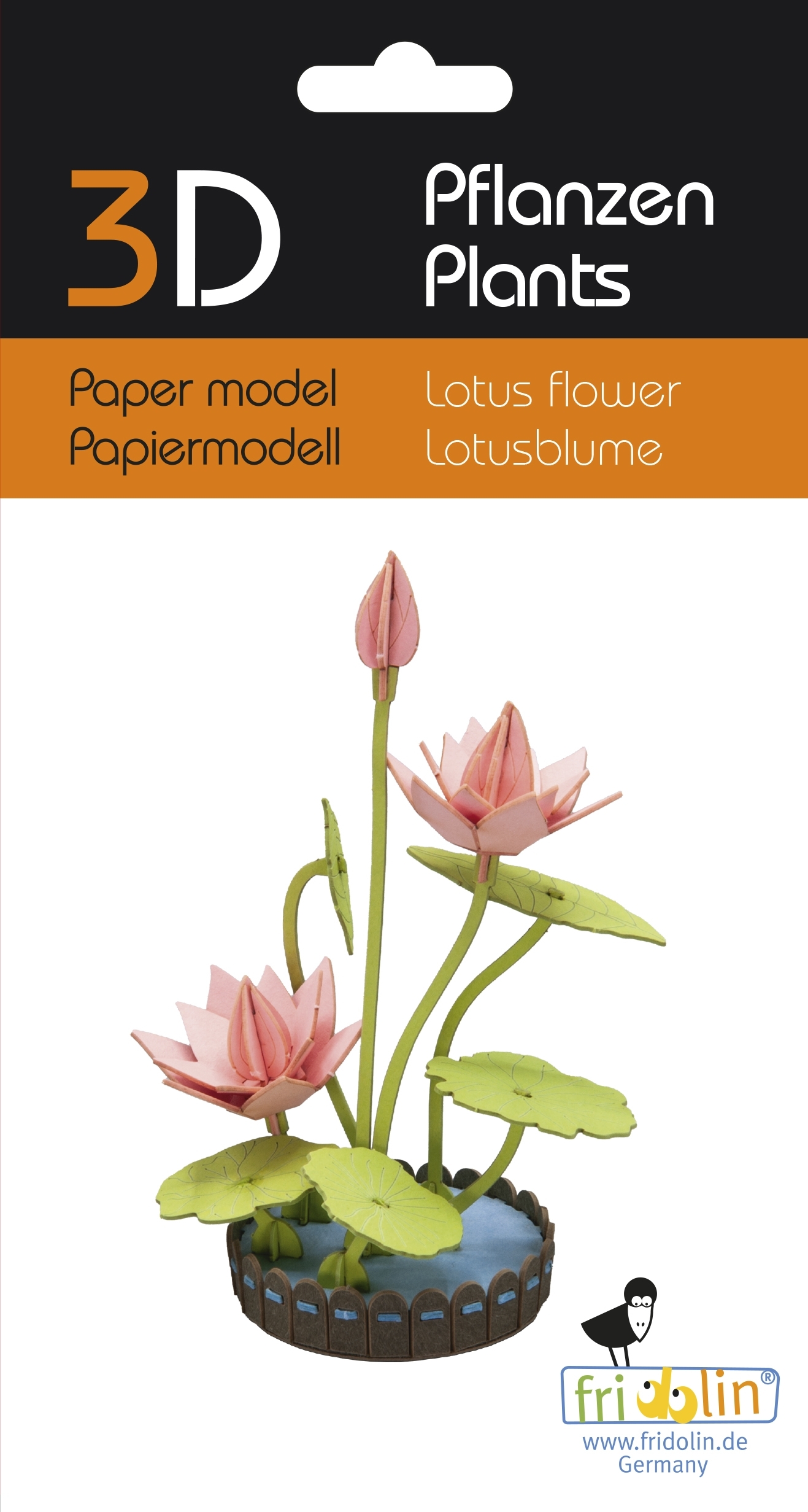 3D model, lotus flower