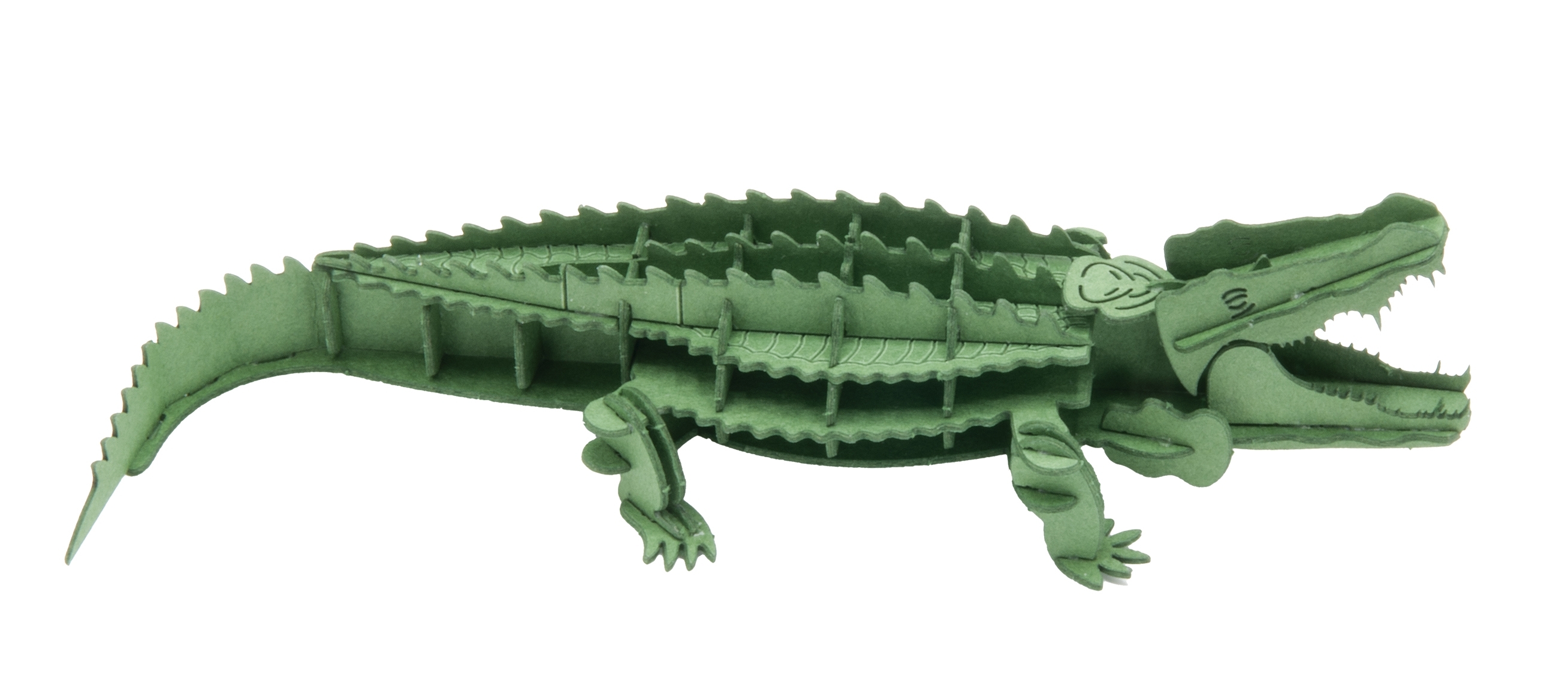 3D-Modell, Krokodil