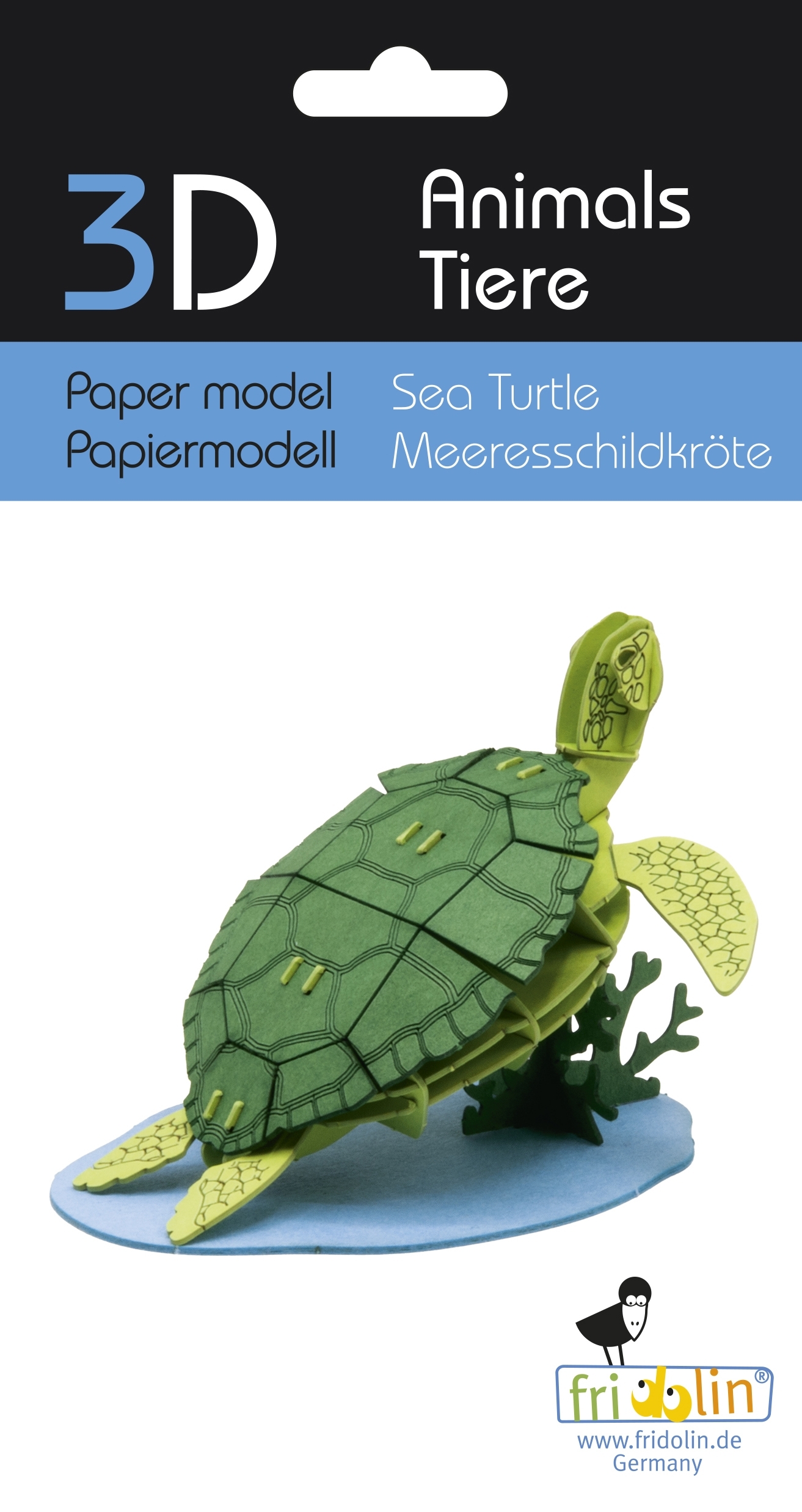 3D model, sea turtle