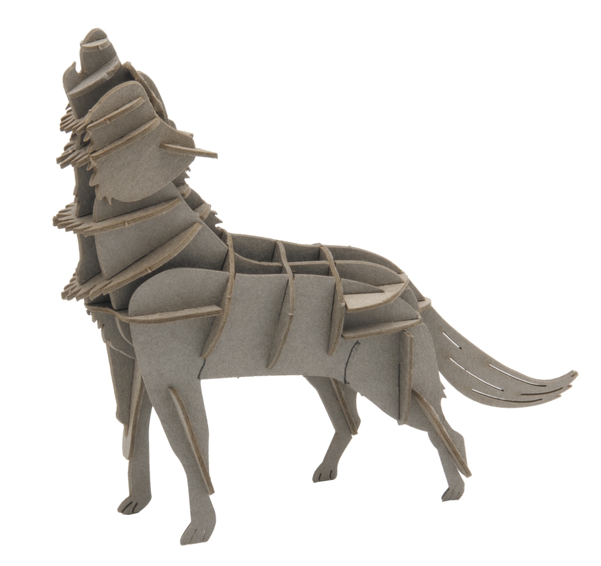 3D model, wolf