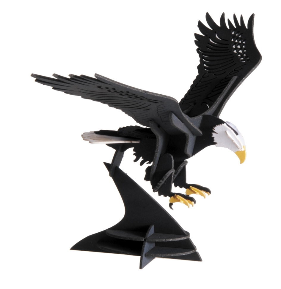 3D model, Eagle