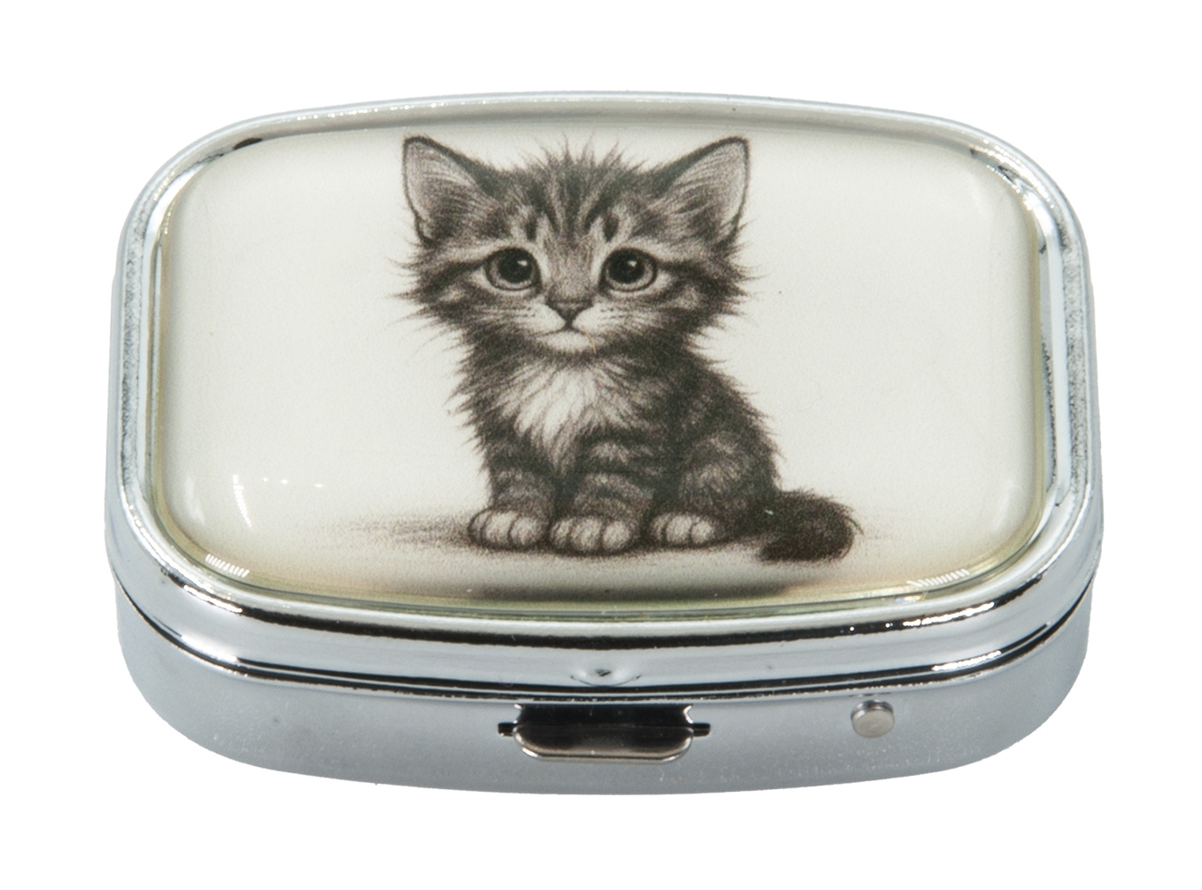 Pillbox, Lonely Cats, Tabby cat