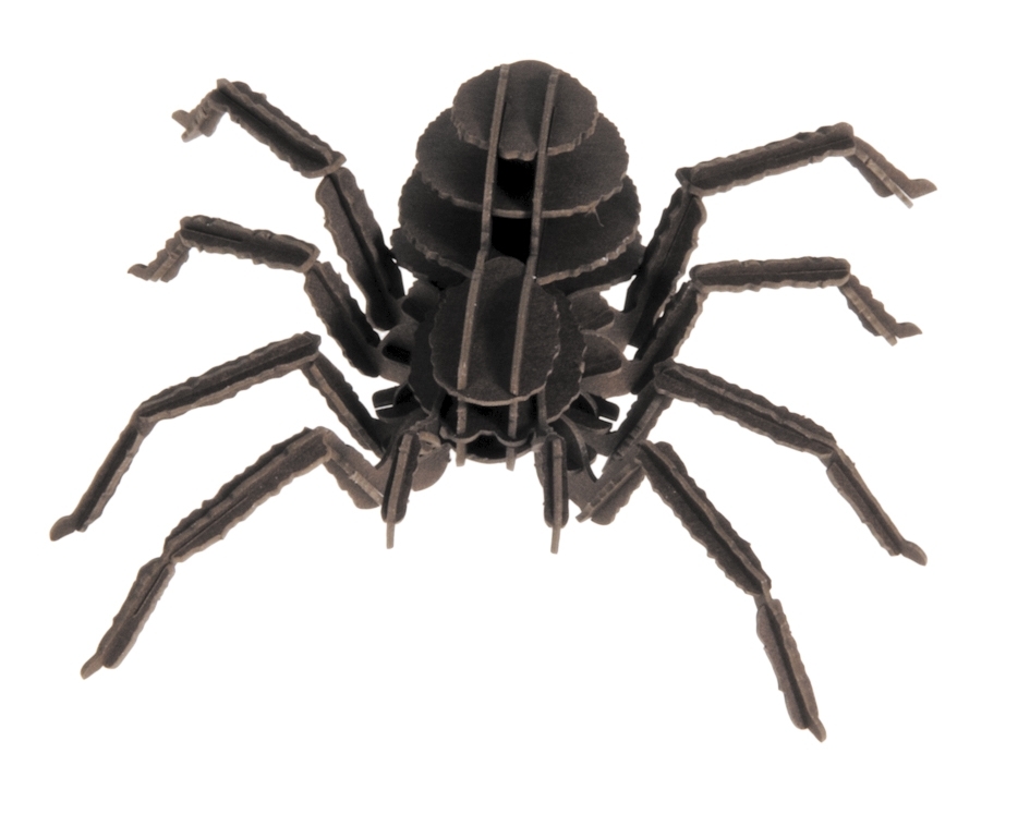 3D model, tarantula