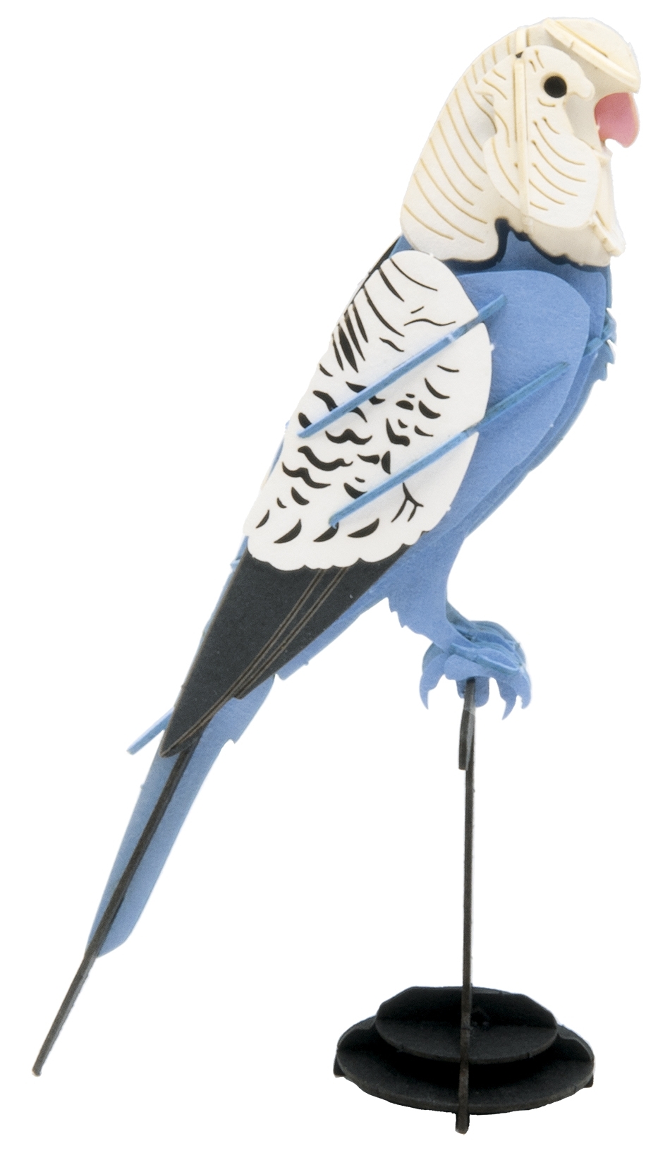 3D model, budgie