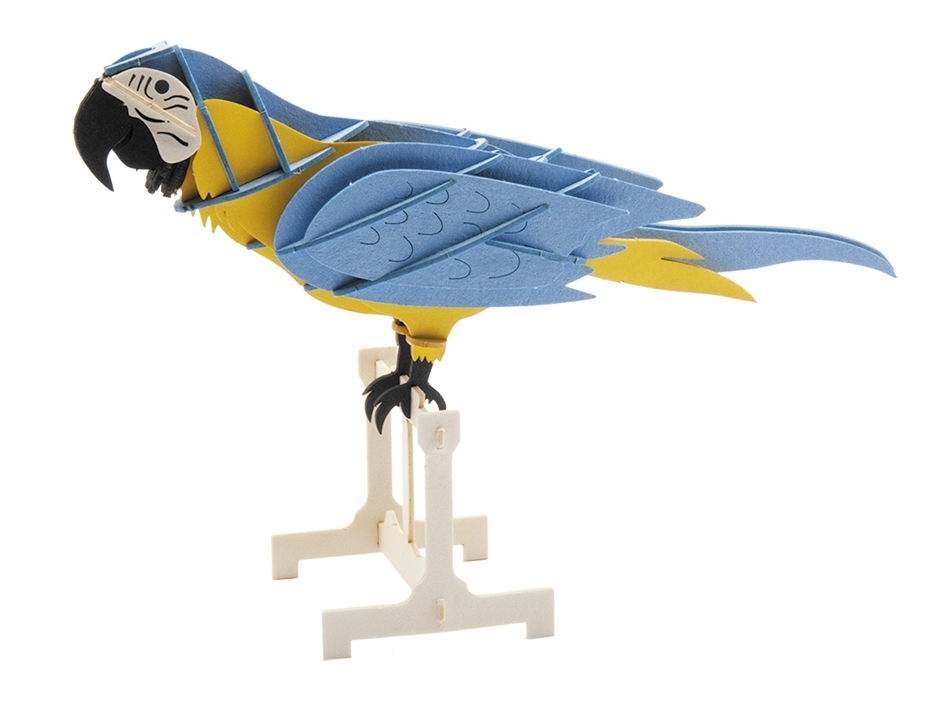 3D model, parrot