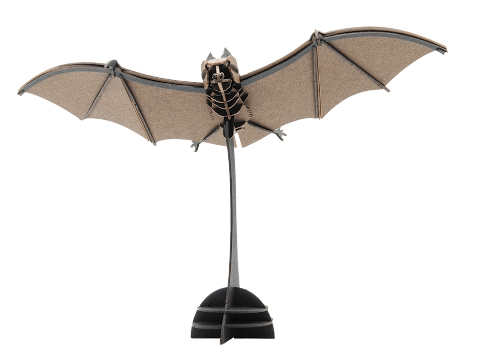 3D model, bat