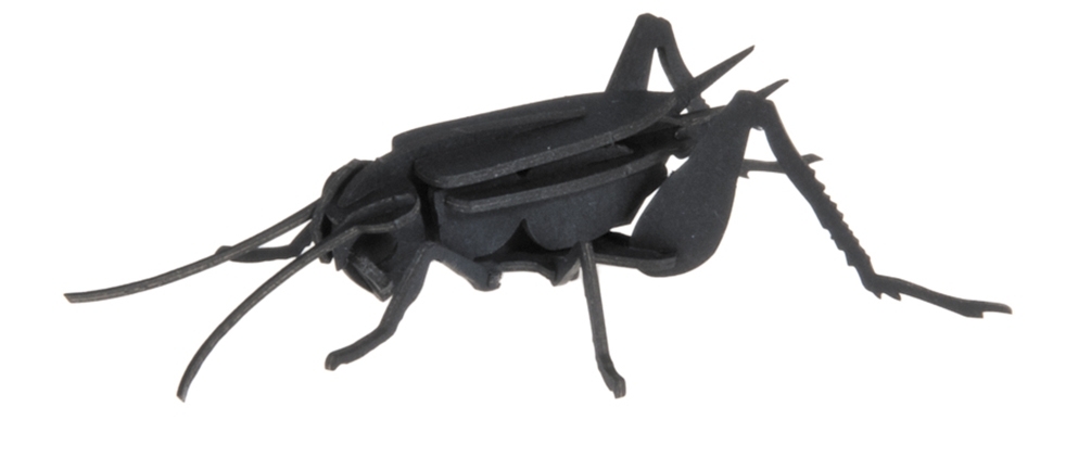 3D model, cricket